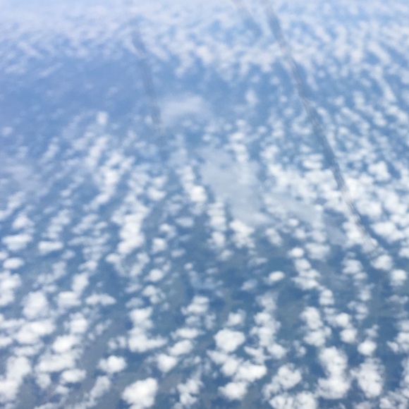 Meet your Posher, Olivia - Picture 1 of 1